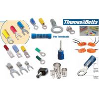 ӦTHOMAS & BETTSTHOMAS & BETTSѹ