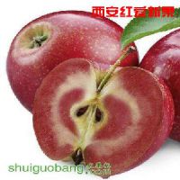 崨ʿɫ֮ƻ