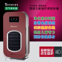 佑今YJF906B负氧离子养生空气净化器 负离子康健仪 可OEM