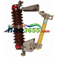 RW5-35/100 ѹʽ۶ 35KV