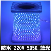 供应批发 220V LED5050 60珠 蓝光软灯条 灯带