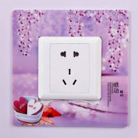 天天*** 韓式精美實(shí)用塑料防水耐磨開關(guān)套 家用創(chuàng)意防塵開關(guān)套