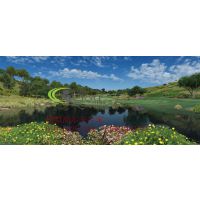 美国trugolf/模拟高尔夫厂家山西太原模拟福建四川河南广州广西广东上海贵州江西深圳河北山东