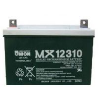 ӦMX12310Ӧ-