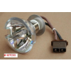 ӦLS-NTP-256±ص