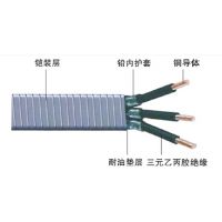 ӦQYEQ-3*16-120-3kV Ǳͱõ