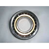 SKF1301Բ׵һֻ