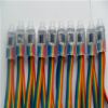 Ӧڹ 5V 12mm ȫLED¶ ֱ Ʒʱ֤