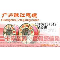 广州珠江电缆 二十年品牌 值得您信赖