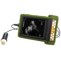 兽用B超价格多少钱