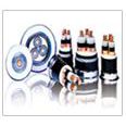 Ӧ20KV ѹо YJV22 3*50 걣