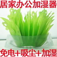 创意环保绿色加湿器/不用通电加湿器 增湿器去干燥香薰环保加湿器