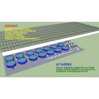 新型农业园区大棚鱼菜共生 工厂化循环种植蔬菜养殖水产品