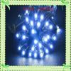 Ӧڹ 48V 9mm LED¶ ֱ Ʒʱ֤