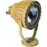 供应安徽芜湖BAD808系列LED防爆路灯渝荣防爆特价