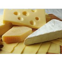 进口法国奶酪报关所需的单证