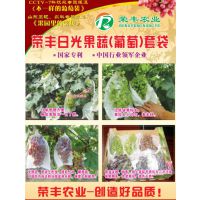 供应葡萄打孔袋子打孔透气袋葡萄袋批发