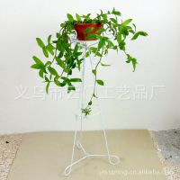 FG017 简约欧式吊兰花架,客厅绿萝下垂铁艺花架1米高 10个/箱