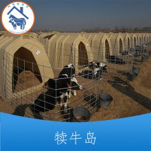  DND-2 Сţרñ· ԭװֻ