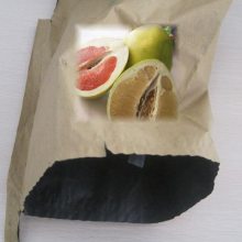 Ӧ๦֡âһγ֡â,֡âĻ