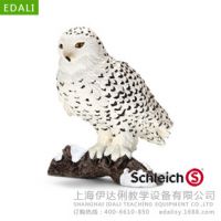 正版德国【思乐SCHLEICH】动物模型    S14671  雪鸮