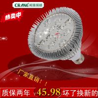 供应直销led小灯杯 节能射灯大功率照明家用灯 12we27灯泡光源扩散灯