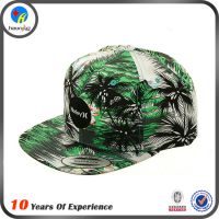 ӦHAIXINרҵƽññ 100% cotton capsӡñ