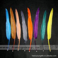 ӦëԲ feather pen Բ   Ʒ