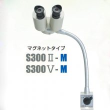 KIKUCHIձճعѧ΢