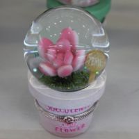 树脂摆件 工艺品 盆栽植物水晶球 4款 创意家居 工艺礼品50041677