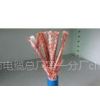 ӦNH-KVVP22£NH-KVVP22