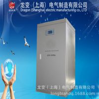 LB-SBW-1000KVAʵѹֹרѹ