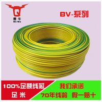 BVV豸
