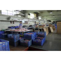 上海振协品质GB/T18033-2007紫铜水管道、供氧医疗管道系统等生产厂家直销多数人仰望少数拥有