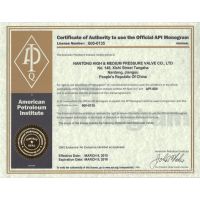 API 600