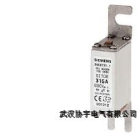 ۶3NE8731-1 SITOR 315A GR AC690V/DC700V