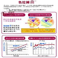 色拉姆服装批发，厂家直供，可OEM批量定做