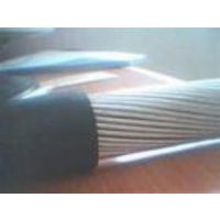 ÿƵCKJPFP86(96)CKJ85CKJ86CKJPJCKJPJ80(90)