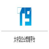 ڴҵERP_ϼT9
