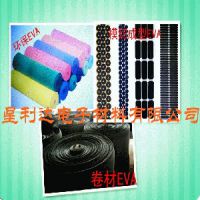 EVA۸_Լ۱ȵEVA۸