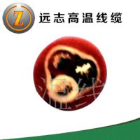 Ӧ͸·ߵߵ ͸ʴߵ