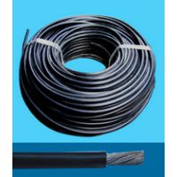 ֱPTFE250
