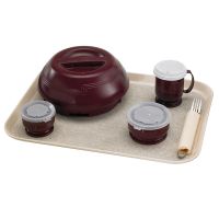 ƷӦ VL1418NS/VL3343NS CAMBRO /ҽ