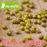 绿豆500g 新货***农家自种有机五谷杂粮农产品发绿豆芽非转基