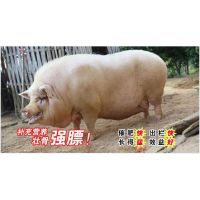 ѧʹʪãӦ׾