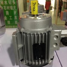 上海德東電機(jī) 廠*** 小功率電機(jī)(YS90L-6 1.1KW) 6極