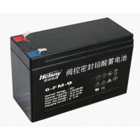 ɽר 12V9AHǦ 綯
