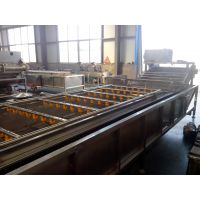 海帶清洗機(jī) 枸杞清洗機(jī) 山野菜專用清洗機(jī)