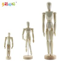 多彩哈泥12/8/5.5英寸木人模型 实木漫画木人 木偶木头关节人偶