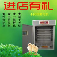 德州诺泰孵化孵化器孵化箱5280枚孵化机孵化设备家用孵化机大型孵化机卵化器